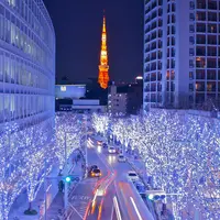 miyako_0209