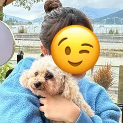 嘉嘉哈哈