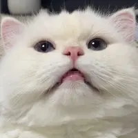 kinyanie