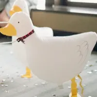 Supper Chicken
