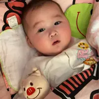 為食豬lub