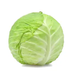 菜菜搵食