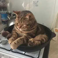 HKtastyfoodie