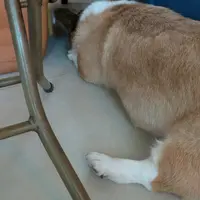 ctsztsz