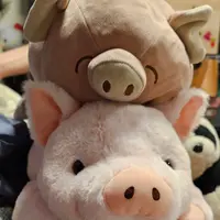 PigPigShum