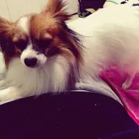 vickypat82