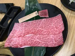 Hipo LAI