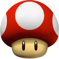 KoeyKoey2021