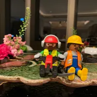 Straving Engineer