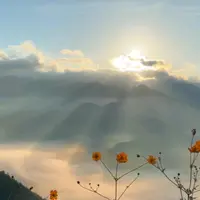 小小夢想