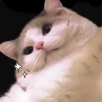Issacchan541