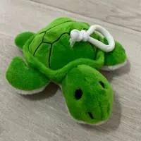 baby tortoise