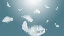 Feather Wong