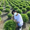 食神之箭