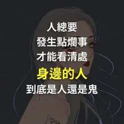 椰林樹映