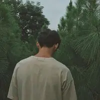 NoahFan