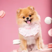misu_pom