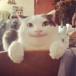 kkkkooo