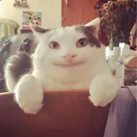 kkkkooo