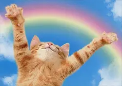 kakaaaaaakaa