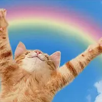 kakaaaaaakaa