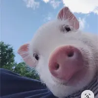 伙食事