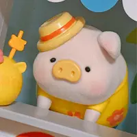 hoisamsengaa._
