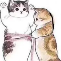 为食猫猫猫咪