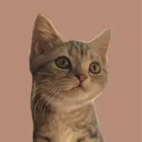 happycat326
