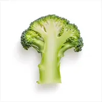 veggiediaryhk