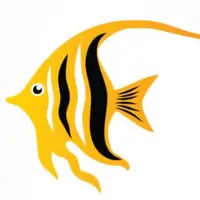 Angelfish。