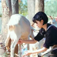 牧奶姨