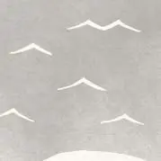 Aomo Aomo