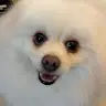 jjjcccvhzjnznz