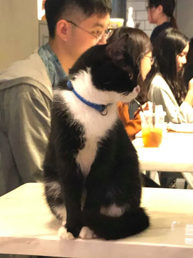 手在發抖中,,,,