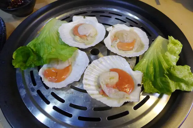 日本大元貝