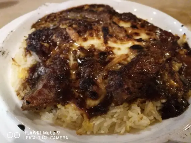 熱辣辣不會爛的焗飯