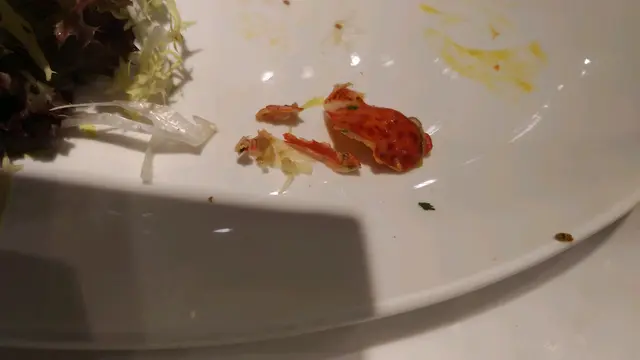 Pieces of shell inside the lobster roll