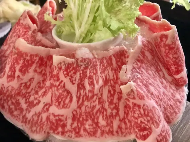 日本 A4 特級霜降和牛細