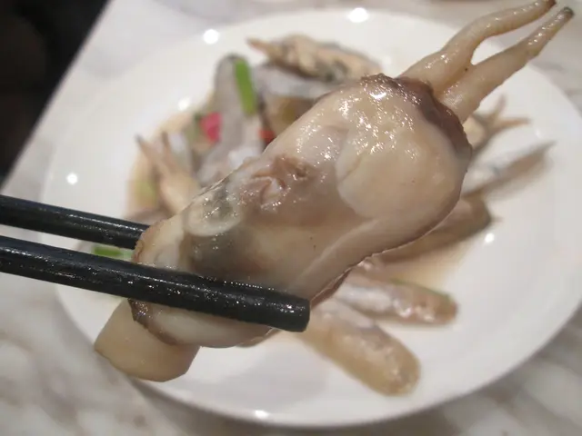 蟶子隻隻爽嫩鮮味