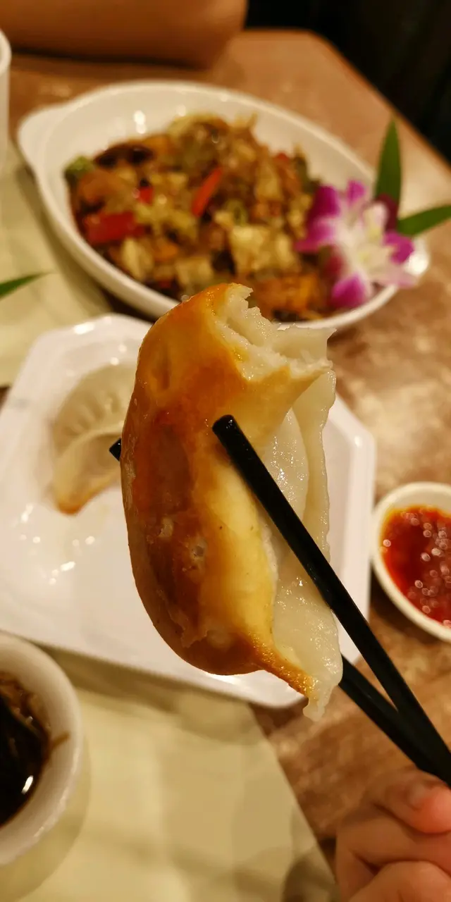 香煎鮮肉鍋貼