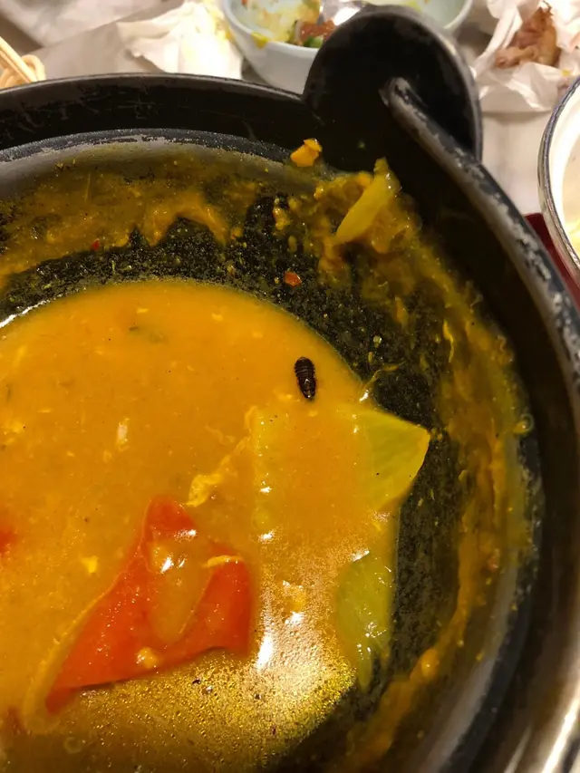 有小強