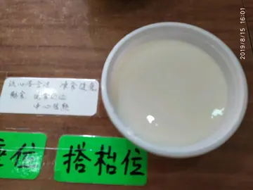燉蛋