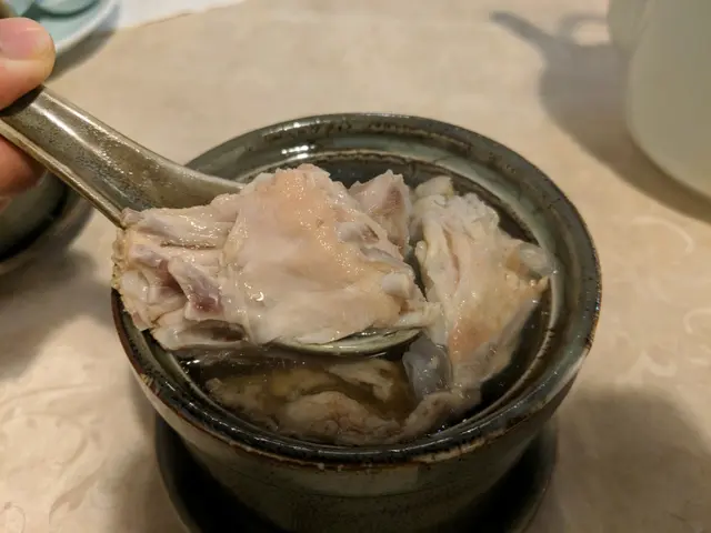 川貝陳皮海底椰鱷魚肉湯