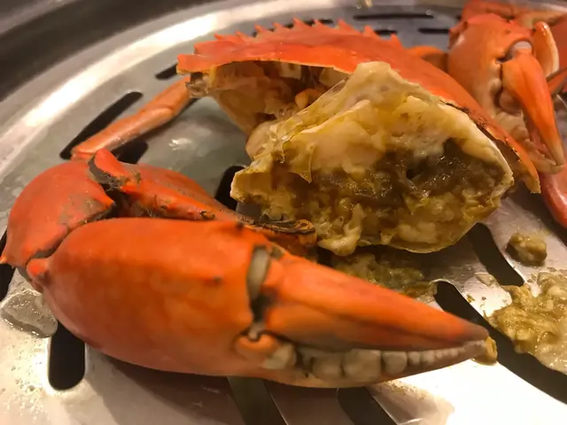 奄仔蟹