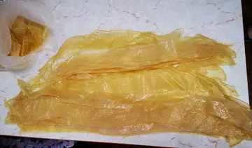 腐皮