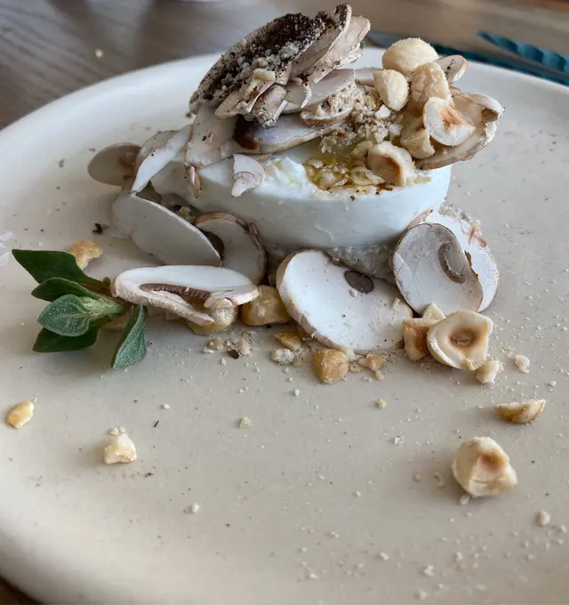 Burrata raw and cooked mushrooms, smoked hazelnut 