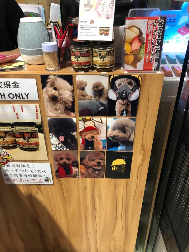 呢啲狗先可愛架嘛