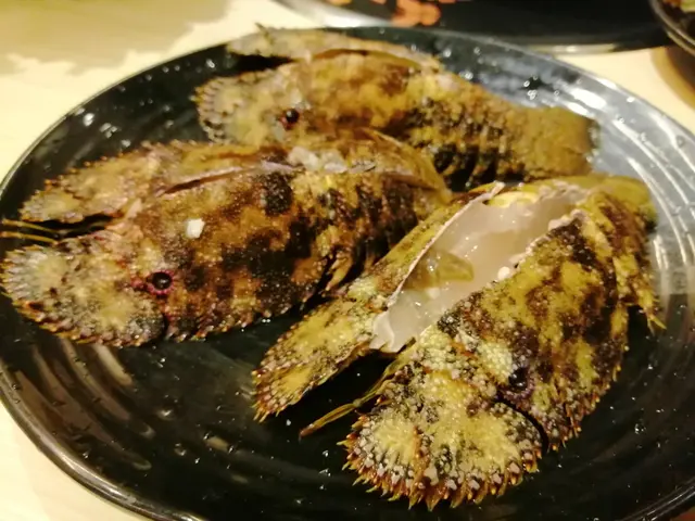 野生琵琶龍蝦