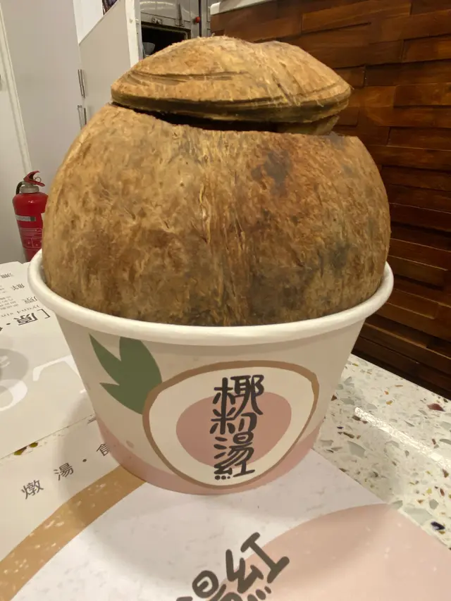 椰皇川貝海底椰排骨燉鱷魚肉